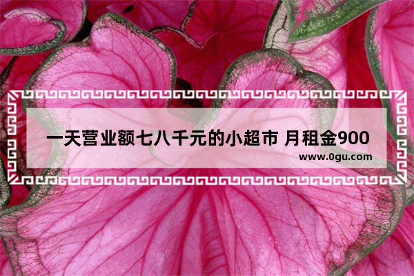 一天营业额七八千元的小超市 月租金9000元 转让费32万元 可以接手吗