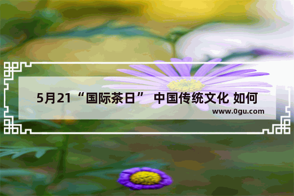 5月21“国际茶日” 中国传统文化 如何让我们的下一代传承