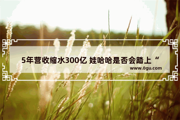 5年营收缩水300亿 娃哈哈是否会踏上“上市”路