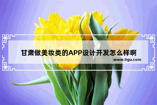 甘肃做美妆类的APP设计开发怎么样啊