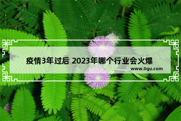 疫情3年过后 2023年哪个行业会火爆 可以发展哪些行业