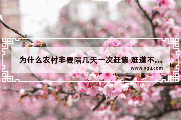 为什么农村非要隔几天一次赶集 难道不能天天赶集吗