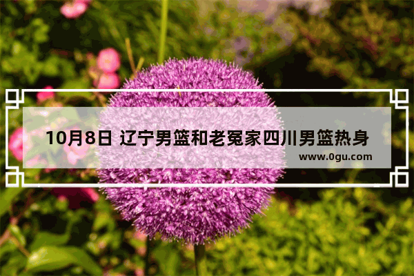 10月8日 辽宁男篮和老冤家四川男篮热身赛 在哪能看到直播？比赛看点如何