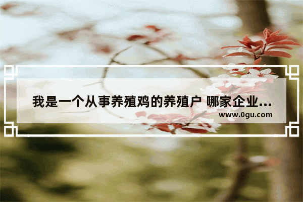 我是一个从事养殖鸡的养殖户 哪家企业合作养鸡最好？更有实力