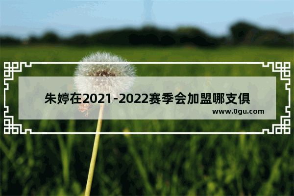 朱婷在2021-2022赛季会加盟哪支俱乐部