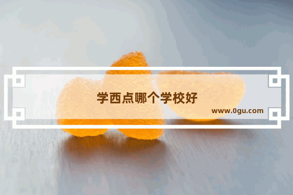 学西点哪个学校好