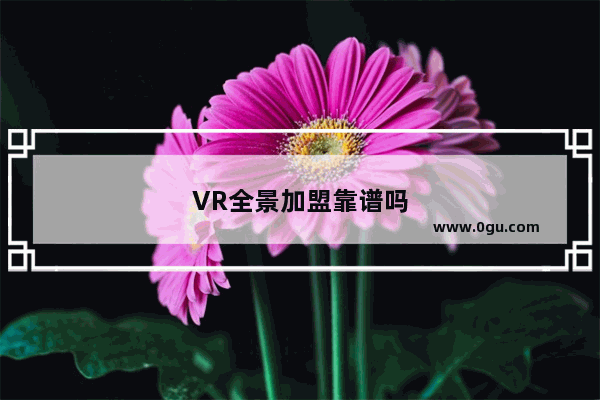 VR全景加盟靠谱吗