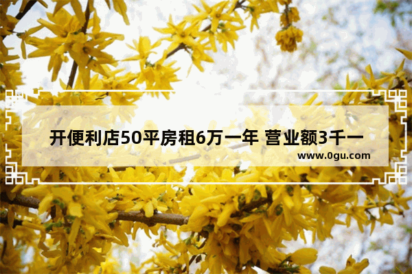 开便利店50平房租6万一年 营业额3千一天 能赚钱吗