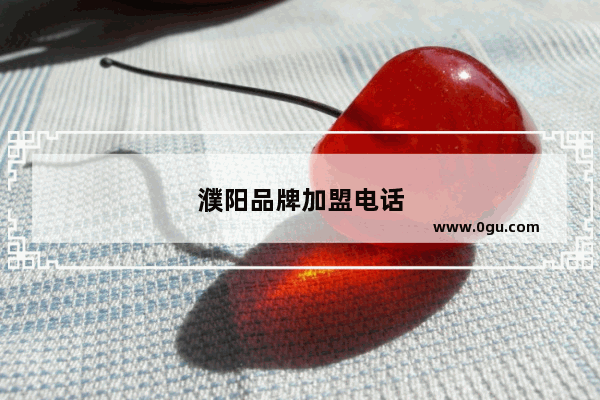 濮阳品牌加盟电话