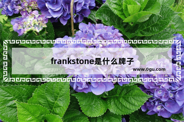 frankstone是什么牌子