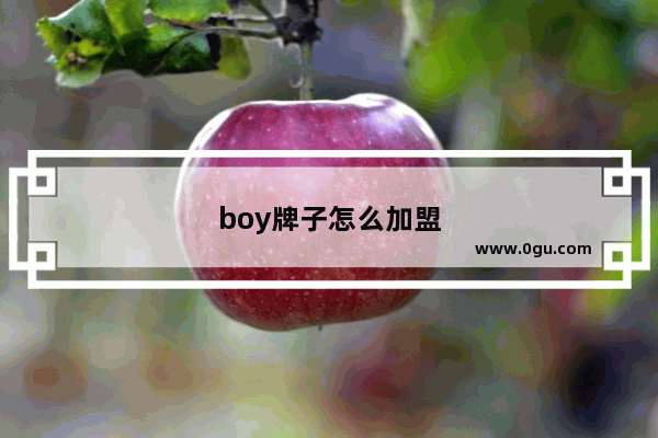 boy牌子怎么加盟