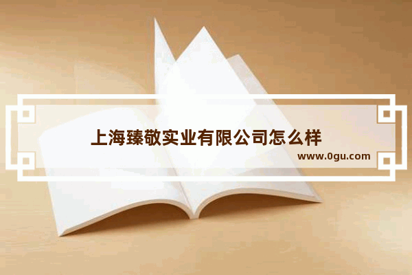 上海臻敬实业有限公司怎么样