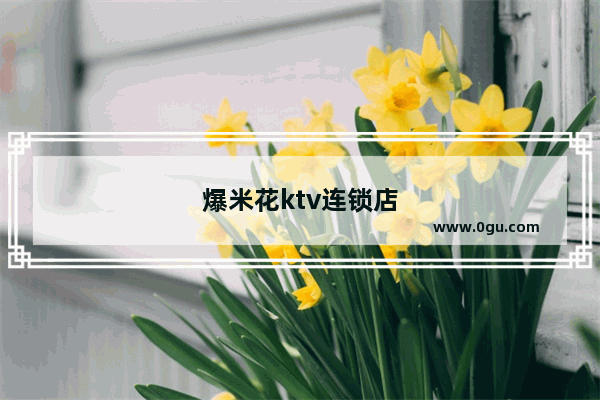 爆米花ktv连锁店