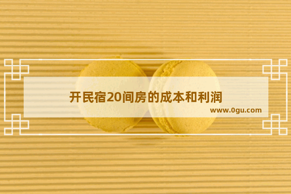 开民宿20间房的成本和利润