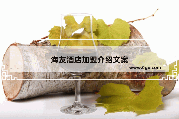 海友酒店加盟介绍文案