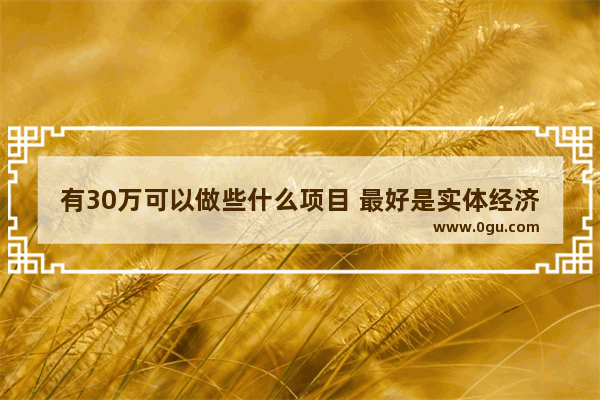 有30万可以做些什么项目 最好是实体经济 日纯收入500元左右就行