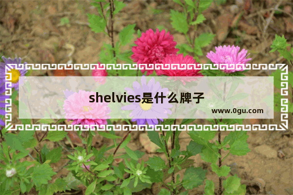 shelvies是什么牌子