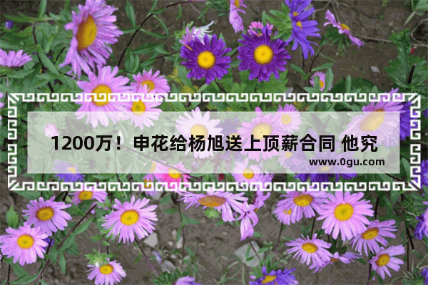 1200万！申花给杨旭送上顶薪合同 他究竟值不值这个价