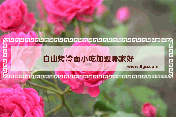 白山烤冷面小吃加盟哪家好