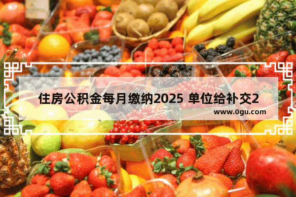 住房公积金每月缴纳2025 单位给补交2025 到底什么水平