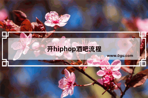 开hiphop酒吧流程