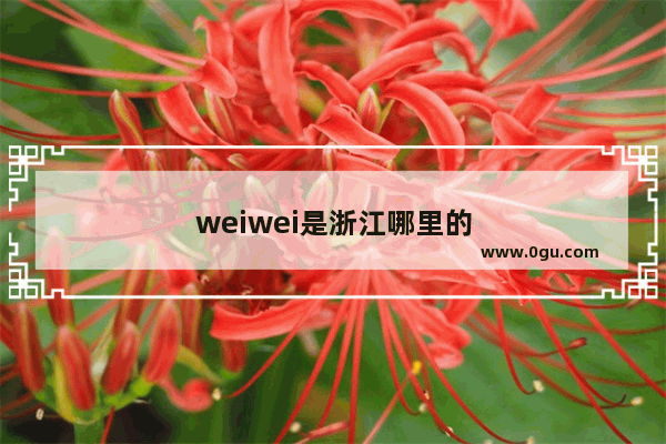 weiwei是浙江哪里的