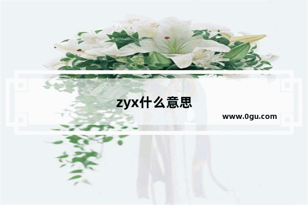 zyx什么意思