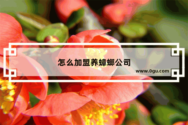 怎么加盟养蟑螂公司