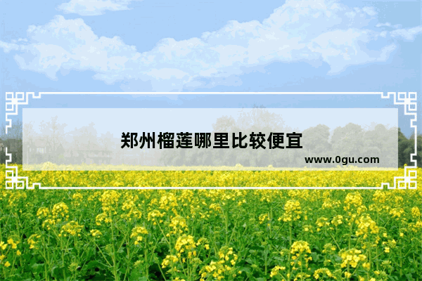 郑州榴莲哪里比较便宜