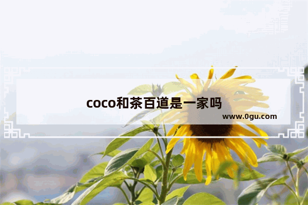 coco和茶百道是一家吗