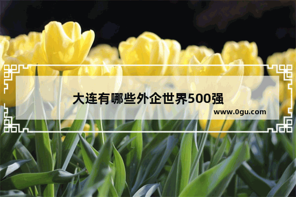 大连有哪些外企世界500强