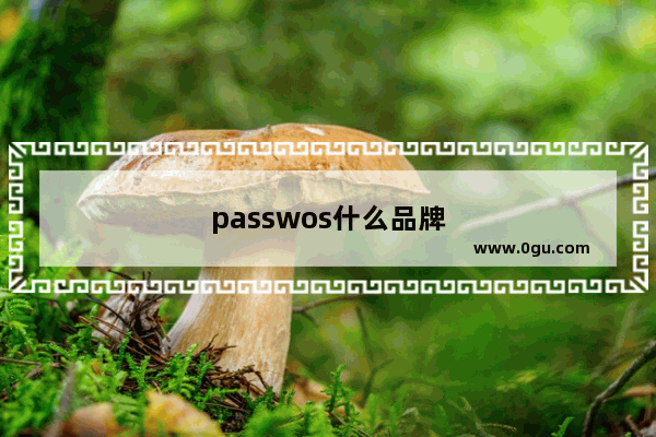 passwos什么品牌