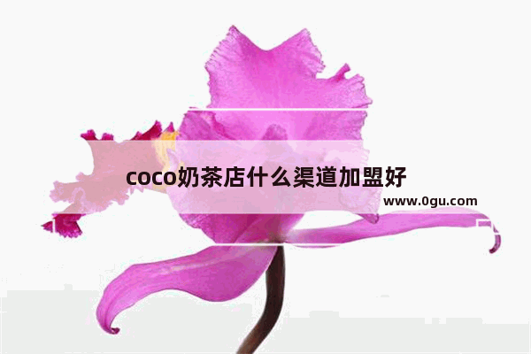 coco奶茶店什么渠道加盟好