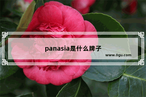 panasia是什么牌子