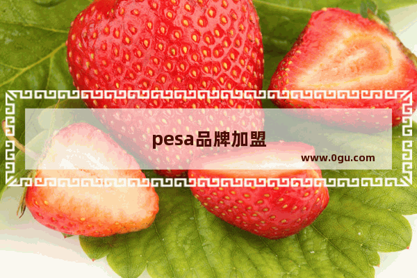 pesa品牌加盟