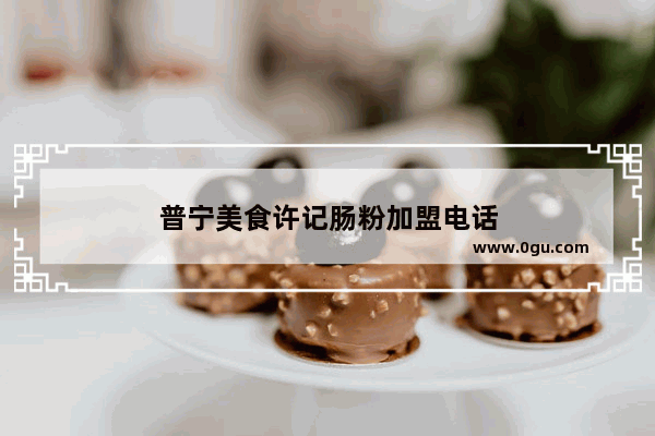 普宁美食许记肠粉加盟电话