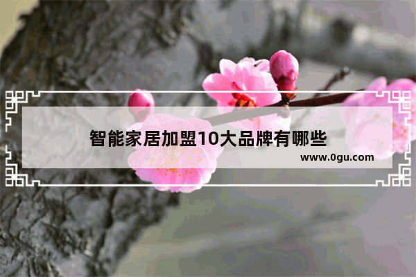 智能家居加盟10大品牌有哪些