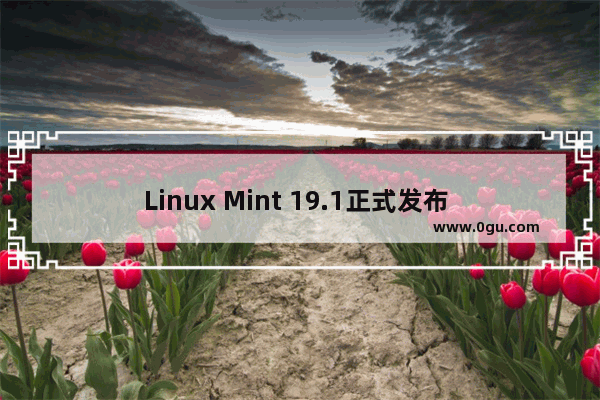 Linux Mint 19.1正式发布 有什么新特性