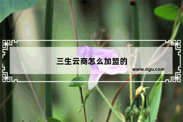 三生云商怎么加盟的