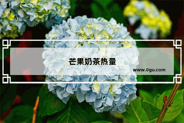 芒果奶茶热量