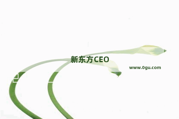 新东方CEO