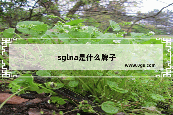 sglna是什么牌子