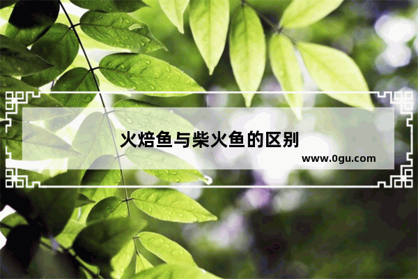 火焙鱼与柴火鱼的区别