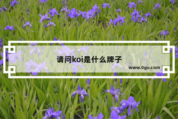 请问koi是什么牌子