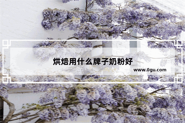 烘焙用什么牌子奶粉好