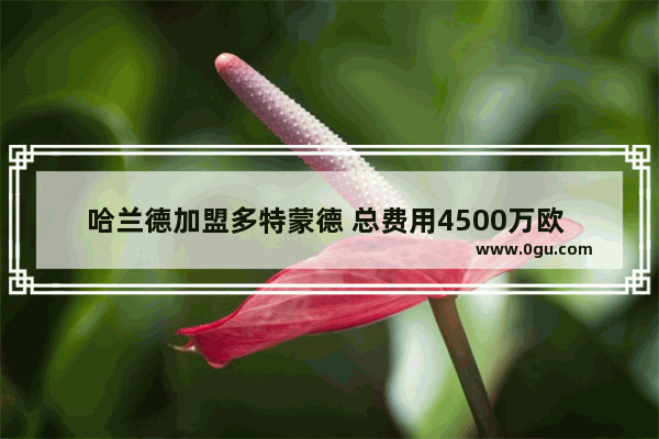 哈兰德加盟多特蒙德 总费用4500万欧 拉胖佣金再赚1500万欧 对此你怎么看