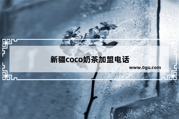 新疆coco奶茶加盟电话