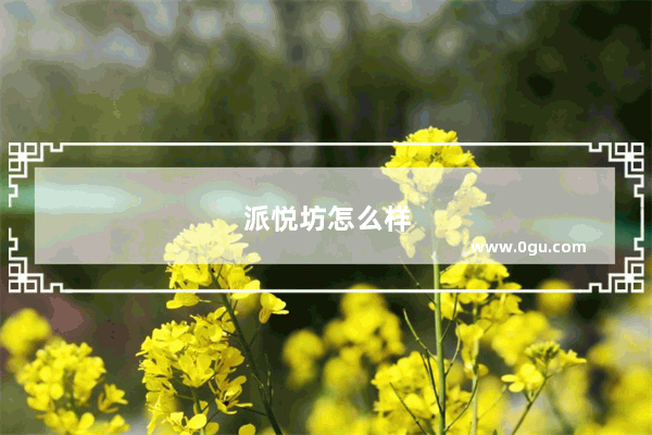 派悦坊怎么样