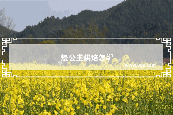 熳公主烘焙怎么样