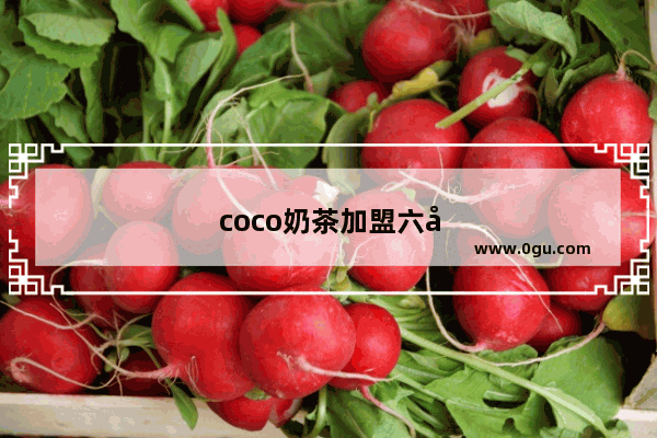 coco奶茶加盟六大优势是什么